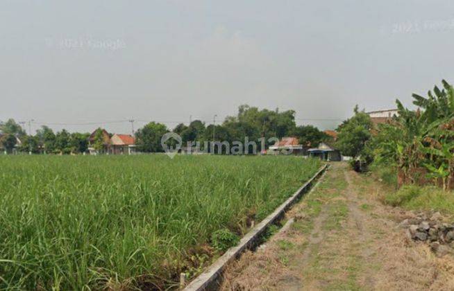 Turun Ambyaaaar,, Dijual Dibawah Harga Pasar Lahan Sawah Cocok Buat Kavlingan Dijual Cepat Lokasi Desa Kajeksan Tulangan Sidoarjo 2