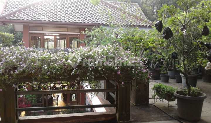 Rumah Mewah Dibawah NJOP Bagus di Mainroad Jln Setiabudi, Bandung Rumah Mewah Dibawah NJOP Bagus di Mainroad Jln Setiabudi, Bandung