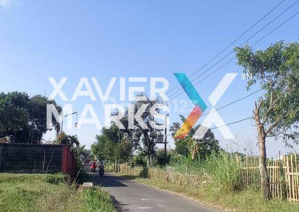 Kebun Jeruk Prospektif Hitung Tanah Dijual Di Dau Malang 4