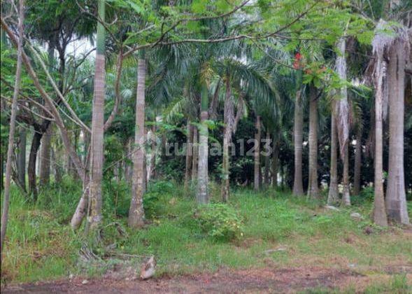 Dijual Tanah Kavling Taman Golf Jababeka Cikarang Timur 2