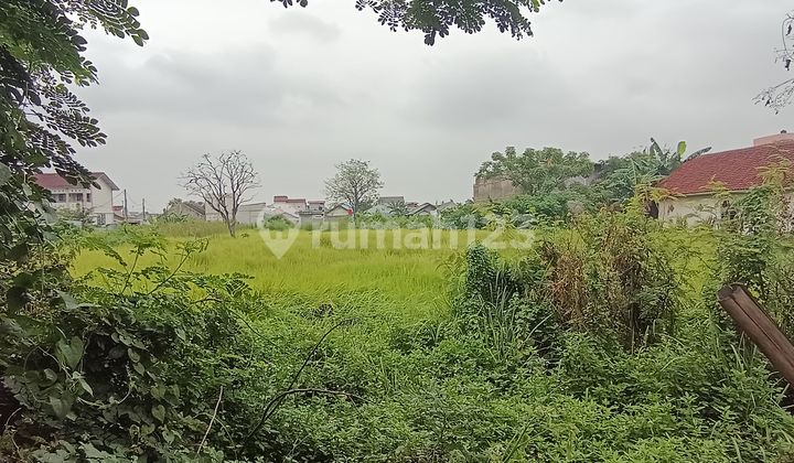 For Rent Strategic Land on Babelan Main Road