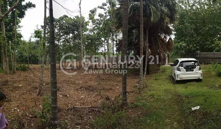 Dijual Tanah cocok untuk perkebunan di Cileungsi Bogor 1