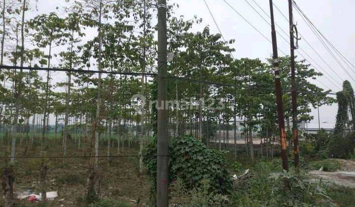 Dijual Murah Tanah siap Bangun di Kawasan Industri di Cikande 1