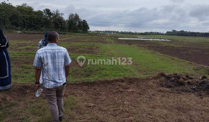 Di Jual Murah Tanah di Serang di Pamarayan Serang Banten  2