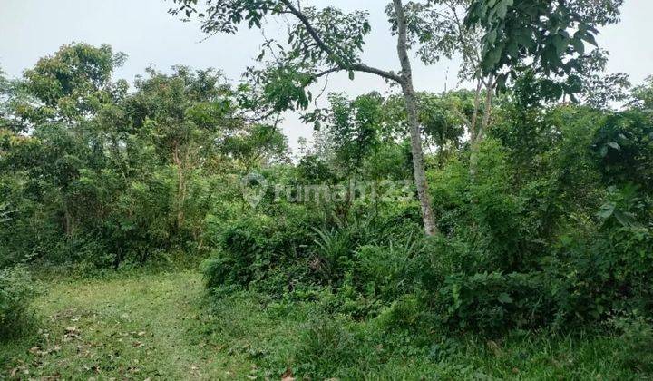 Di jual murah tanah di panimbangan sindang pandeglang serang