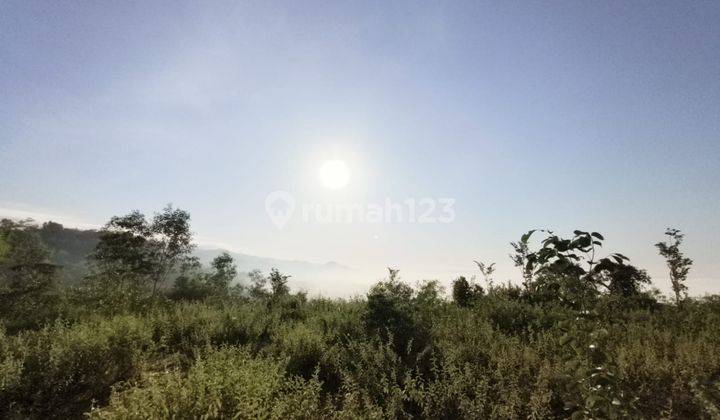 Tanah luas cocok untuk area wisata Gunung Kidul Yogyakarta 2