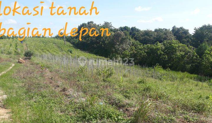 Dijual Tanah di Kecamatan Penajam di Kalimantan Timur Ikn 1