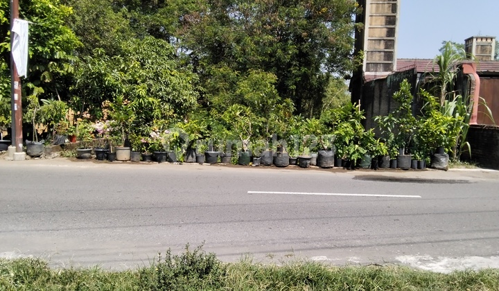 Tanah Pinggir Jalan Dekat Jalan Raya Wonosari