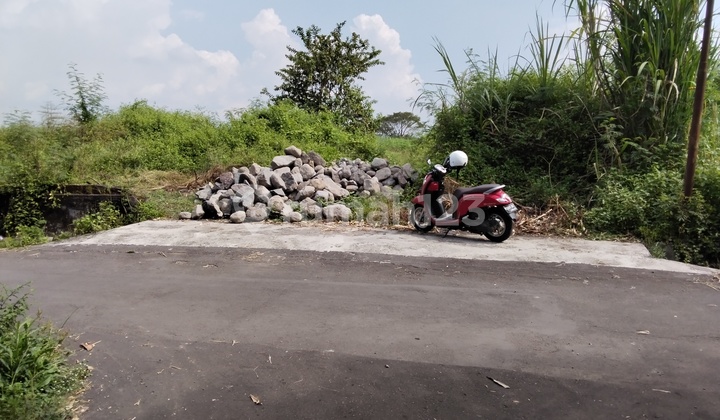 Tanah Pekarangan Dalam Kota Cocok Untuk Perumahan 2