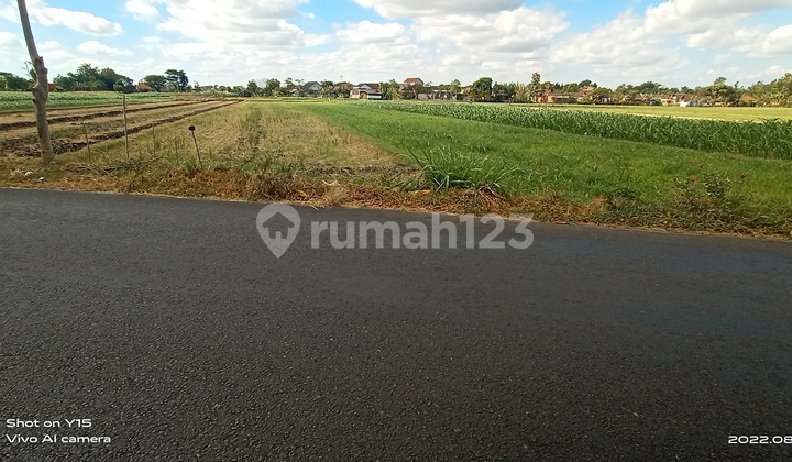 Tanah sawah produktif pinggir jalan besar Tanah sawah produktif pinggir jalan besar