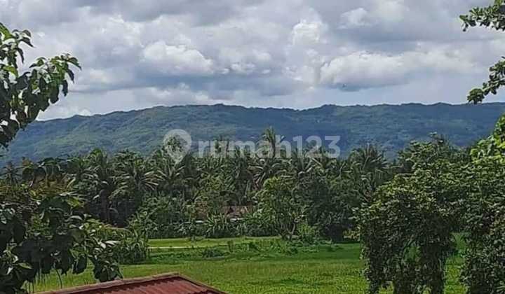 Rumah Expatriat Joglo Modern Halaman Luas 2