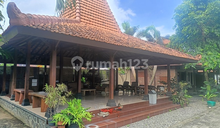 Villa Near Adisutjipto Airport+Swimming Pool