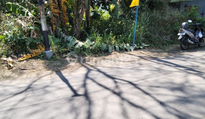 Tanah Pekarangan Pinggir Jalan View Sawah