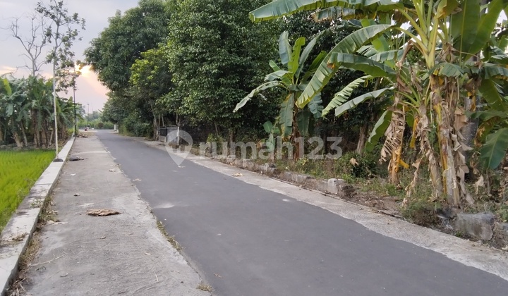 Tanah Pekarangan Luas View Sawah Dan Pegunungan