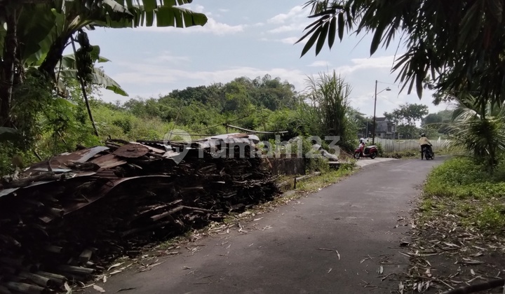 Tanah Pekarangan Dalam Kota Cocok Untuk Perumahan 1
