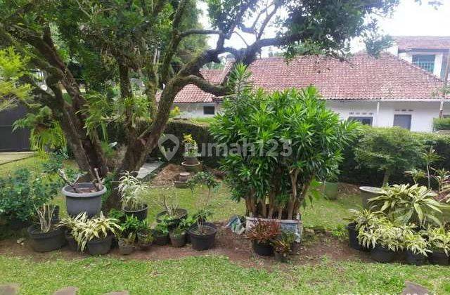 Dijual Rumah Lama Murah Terawat Dago Atas 2