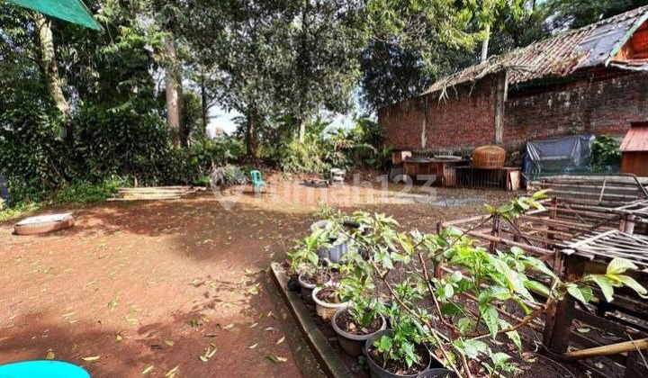 Tanah Matang Siap Bangun Cigadung, Bandung Tanah Matang Siap Bangun Cigadung, Bandung