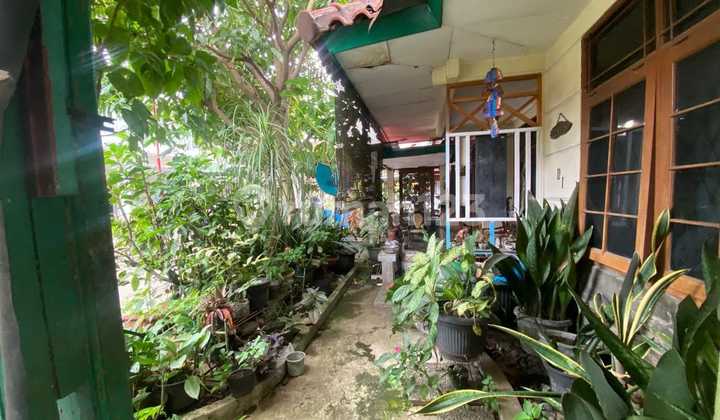 Nice House in an Elite Cluster in Arcamanik