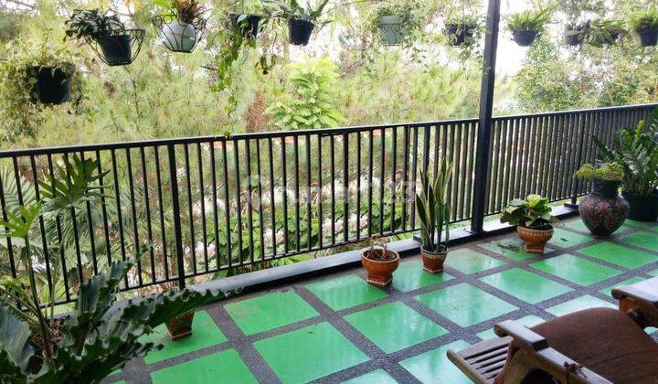 Rumah 2 Lantai Bagus Furnished SHM di Cigadung, Bandung 2