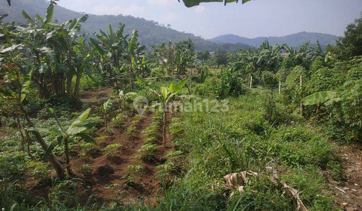 Dijual Cepat  Tanah Hoki  Ngantong Daerah Batujajar Mainroad 2