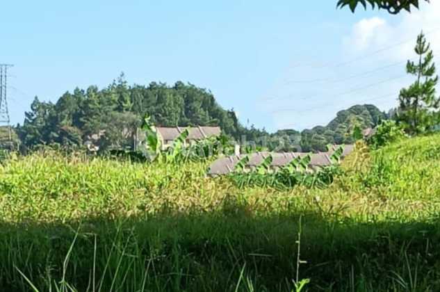 Dijual Tanah Kavling di Budi indah jalan Heliconia 1057 m² 