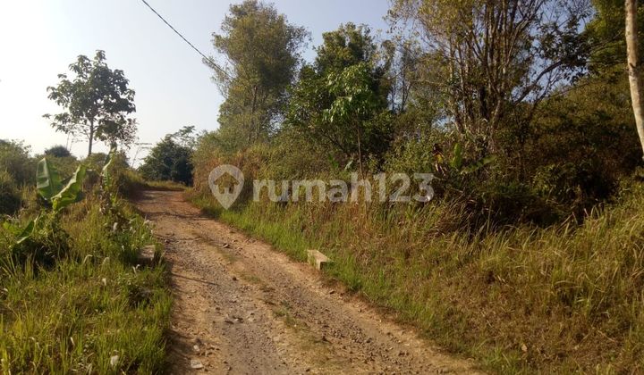 Dijual Cepat Tanah SHM, Turun Harga Cicadas Cianjur Mainroad 28745 M²