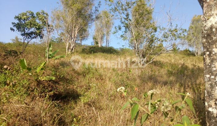 Dijual Cepat Tanah SHM, Turun Harga Cicadas Cianjur Mainroad 28745 M²