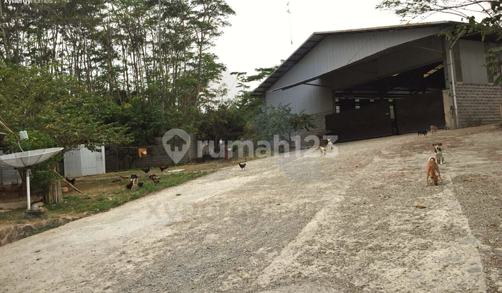 Dijual Pabrik Omset Perbulan 4 5 M di Purwakarta 2