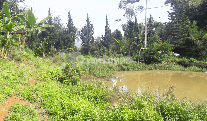 Tanah SHM di Ciwidey Bandung 2