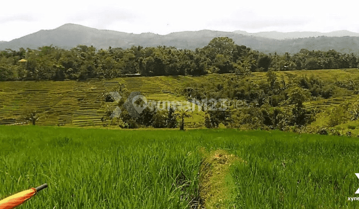 Tanah Zona Kuning View Bagus Hot Strategis di Mainraod Nagreg Bandung 1