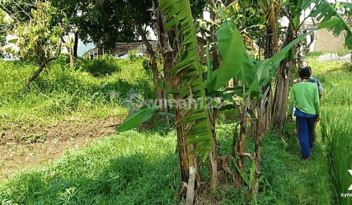 Tanah Zona Kuning View Bagus Hot Strategis di Mainraod Nagreg Bandung 2