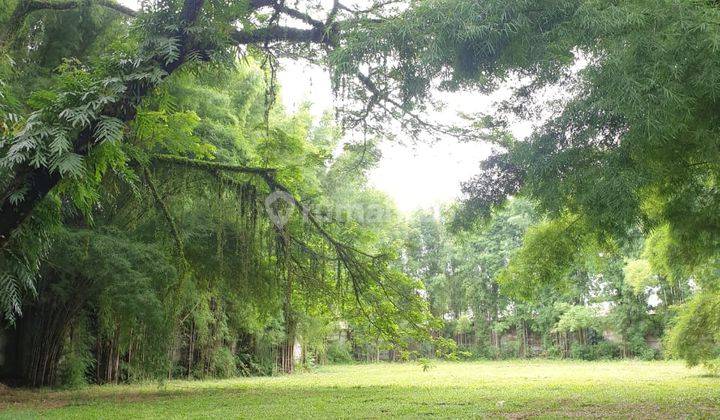 Hadap Utara, Private Dan Nyaman Kavling Super Bagus 1