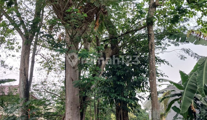 Kavling Termurah Di Taman Tirta Golf Bsd, 606m2 Utara Kavling Termurah Di Taman Tirta Golf Bsd, 606m2 Utara