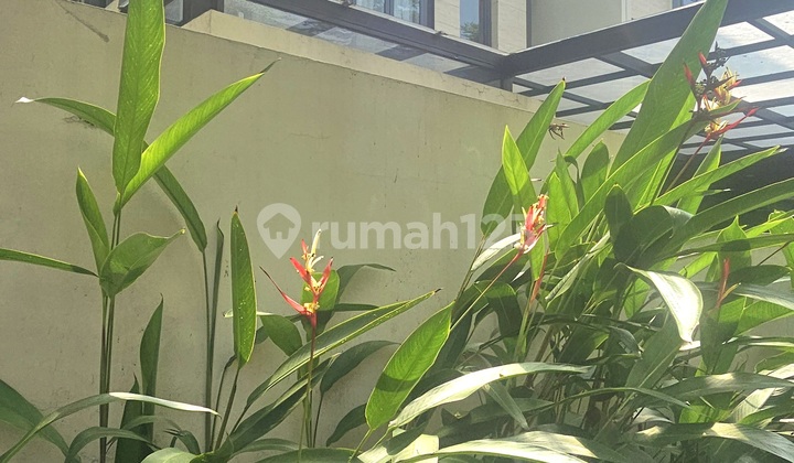 Luxury House in BSD, Lancewood Cluster Nava Park, Furnished, SHM Available 2