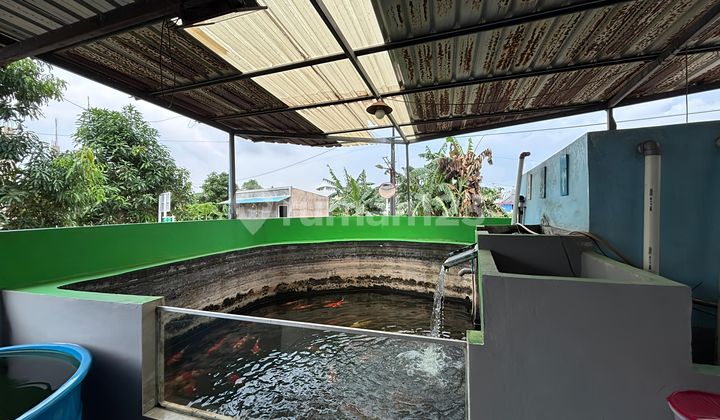 Cheap Sale Ciptaland Land Tiban Hook Position 2