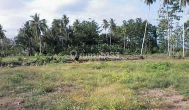 Dijual Lahan Kosong khusus Jasa Batam Center  2