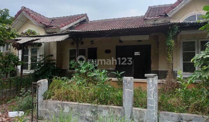 Kavling Gandeng, Lebar 12, Cluster Graha Indira, Cikupa, Rumah Lama 2