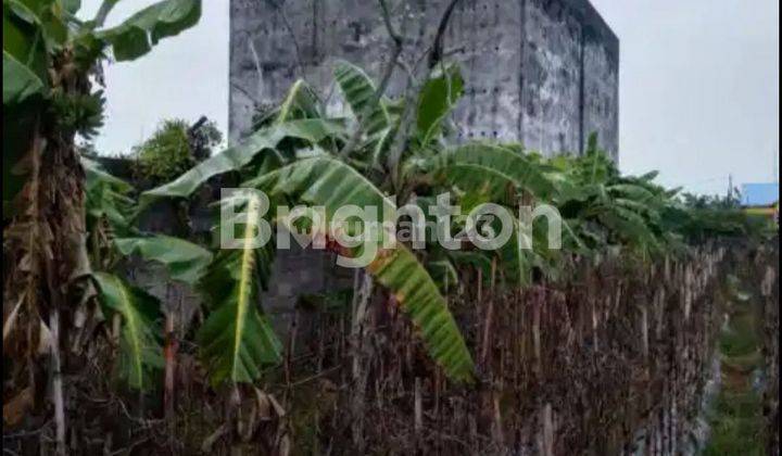 TANAH BAGUS DAN SARANGAN WALET DI BALIKPAPAN 1