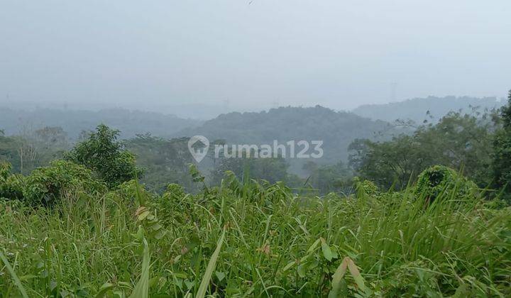 Tanah Lokasi Bagus, Cileungsi Jonggol 1