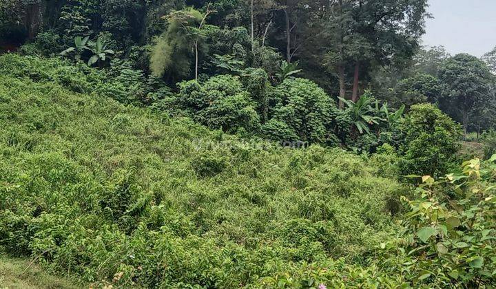 Tanah Lokasi Bagus, Cileungsi Jonggol 2