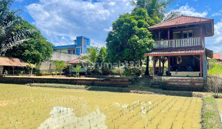 Jual Tanah + Rumah Kontrakan + Saung + Sawah + Kolam Ikan di Tegalwaru Purwakarta 1