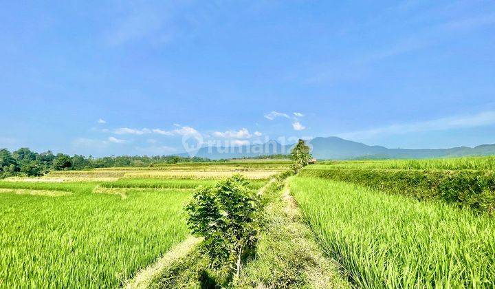 Dijual Murah Tanah Sawah 2742 M2 Pemandangan Bagus di Purwakarta 2