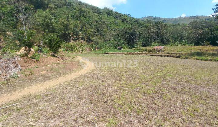 Jual Murah Tanah Datar 4574 M2 Cocok Untuk Kebun di Cisitu Sumedang 1