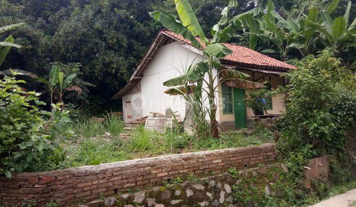 Dijual Tanah Kebun Dan Rumah di Daerah Jatiluhur Dekat Purwakarta Kota 1