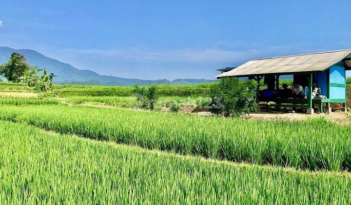 Dijual Murah Tanah Sawah 2742 M2 Pemandangan Bagus di Purwakarta 1