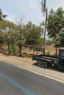 Dijual Murah Tanah Strategis Pinggir Jalan Raya Pantura Subang 3