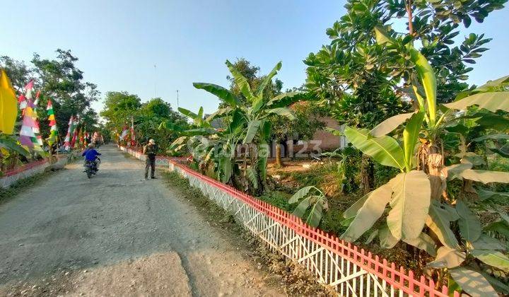 Jual Murah Tanah Kebun Dekat Wisata Situ Cisaat Campaka Purwakarta 1