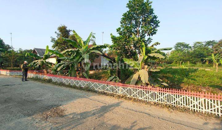 Jual Murah Tanah Kebun Dekat Wisata Situ Cisaat Campaka Purwakarta 2