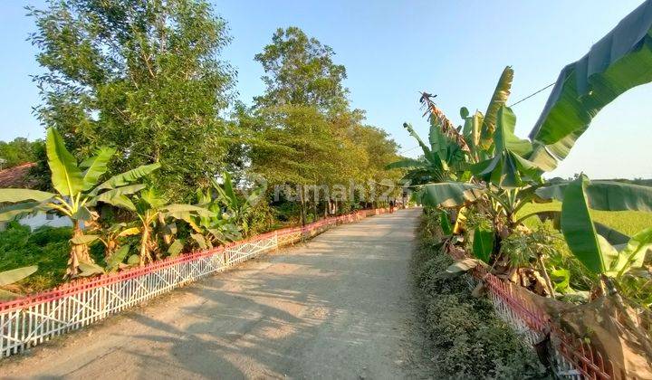 Jual Murah Tanah Kebun Dekat Wisata Situ Cisaat Campaka Purwakarta 3