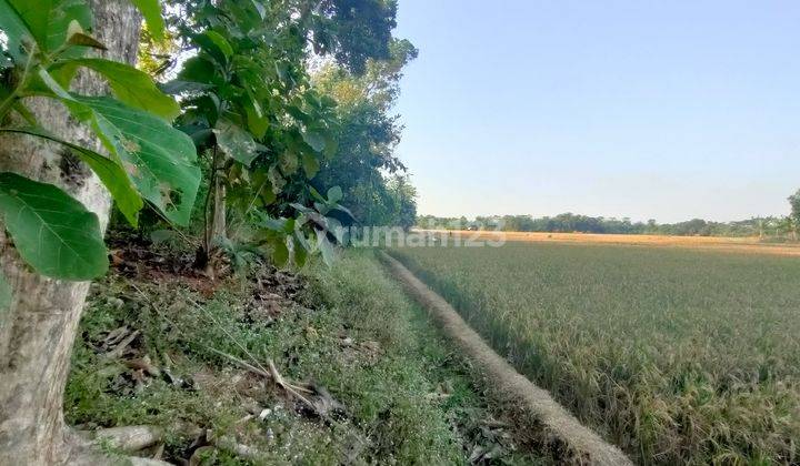 Jual Murah Tanah Kebun Dekat Wisata Situ Cisaat Campaka Purwakarta 5